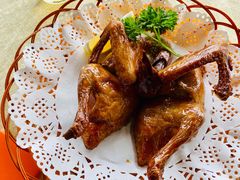 红烧乳鸽-一煲鸽