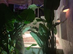 -CLUB VIVA(购物公园店)