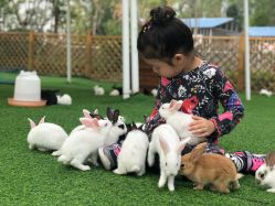 -萌宠亲子动物乐园(槐房万达店)