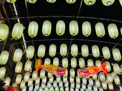 -婺源梦里老家大型山水实景演出