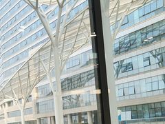 -首都医科大学附属北京同仁医院(南区)