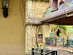 -深圳东部华侨城茵特拉根酒店