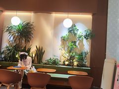 -奈雪的茶(石家庄万象城店)
