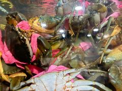 -辣螃铠盆盆蟹大排档(总店)