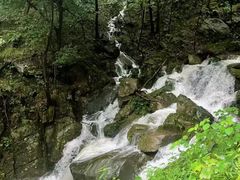 -素山寺森林公园