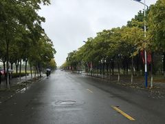 -上海海事大学(临港校区)
