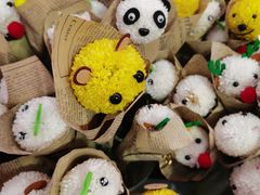 -越秀西湖花市(广州城市广场花卉店)
