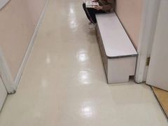 -爱乐梵国际儿童教育中心(古美店)