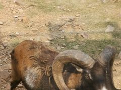 -无锡动物园·太湖欢乐园