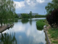 -大兴滨河森林公园