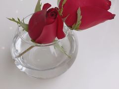 -PETIT PARIS 小巴黎(凯德1818店)