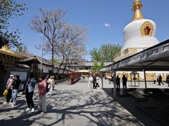 -护国法轮寺