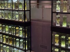 -广东中医药博物馆