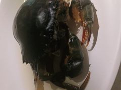 -青蓬蒸汽海鲜·深圳老字号·团建聚会(壹方城店)