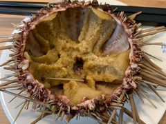 -海胆小馆(东北水饺·春柳店)