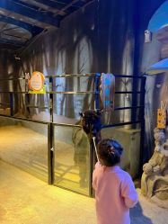 -酷嗒动物文化乐园(cutezoo西溪乐天城店)