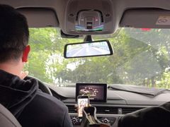 -铁山坪森林公园