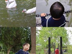 -上海交通大学闵行校区-包玉刚图书馆