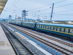 -燕塞湖鸟语林景区