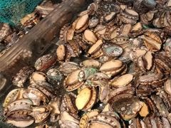 -海鲜e族(马王堆店)