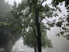 -广州市白云山风景名胜区
