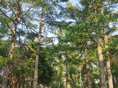 -长春市南湖公园