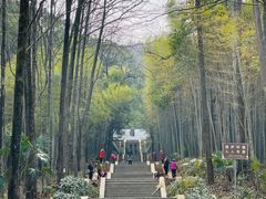 -青龙山国家森林公园