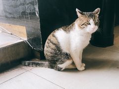 -UNI UNI(环亚凯瑟琳店)