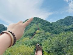 -大岭沟猕猴桃谷风景区