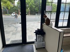 -凯瑞希宠物医院·狂犬免疫·微创·皮肤科