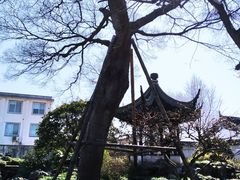 -五峰园
