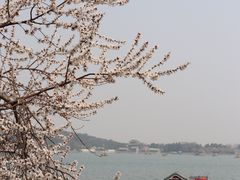 -颐和园