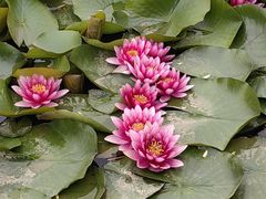 -漳泽水库水上公园