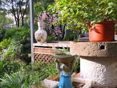 -谷咖啡·鲜花绿植花园餐厅