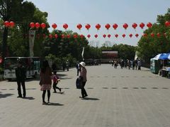 -上海海湾国家森林公园