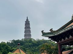 -顺峰山公园