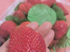 -桃源市场(解放路店)