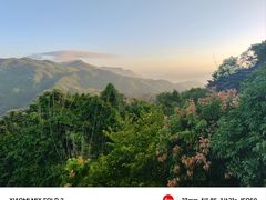 -三亚亚龙湾人间天堂鸟巢度假村