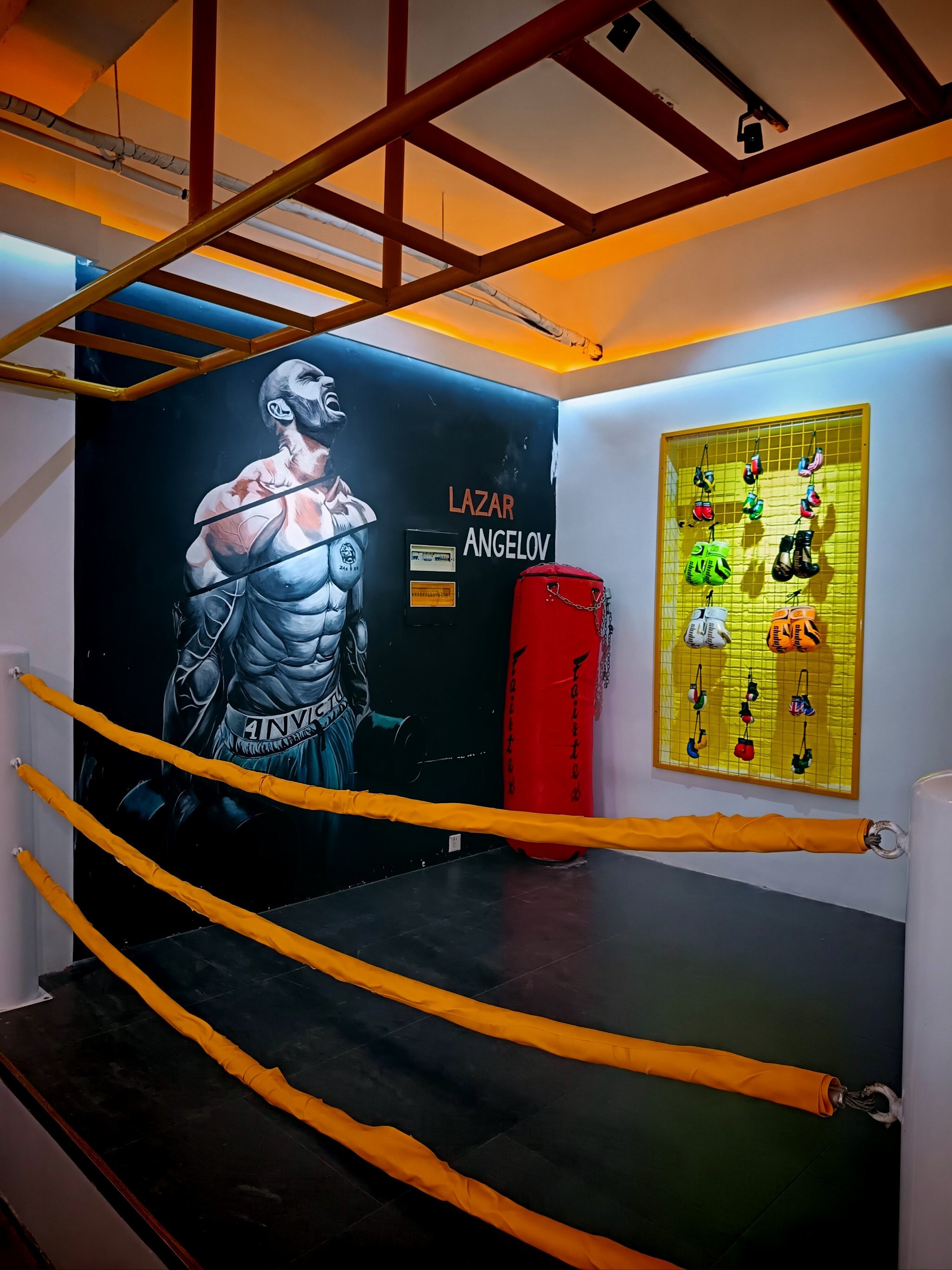 推荐收藏:大人们的乐园