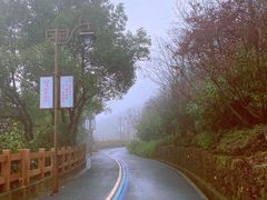 -杭州半山国家森林公园