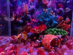 -秦皇岛新澳海底世界