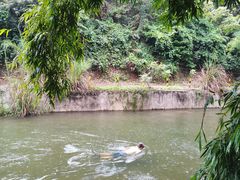 -大观园昆山峡漂流