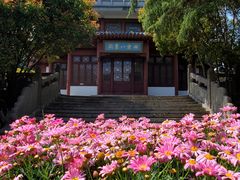 -南京古林公园