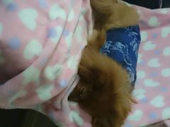 android_upload_pic-A+摄影