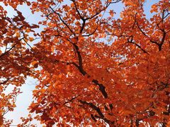 -周口店坡峰岭风景区