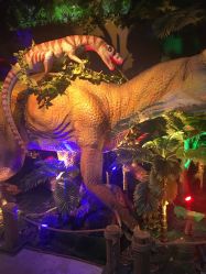 -恐龙探索乐园(磁器口店)