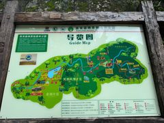 -西双版纳原始森林公园