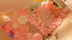 -苏派宝宝生日宴·求婚策划·气球派对布置(园区店)