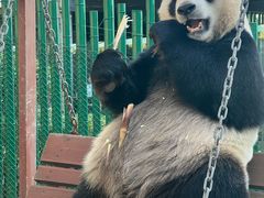 -大连森林动物园