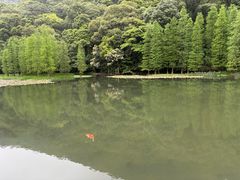 -广州市石门国家森林公园